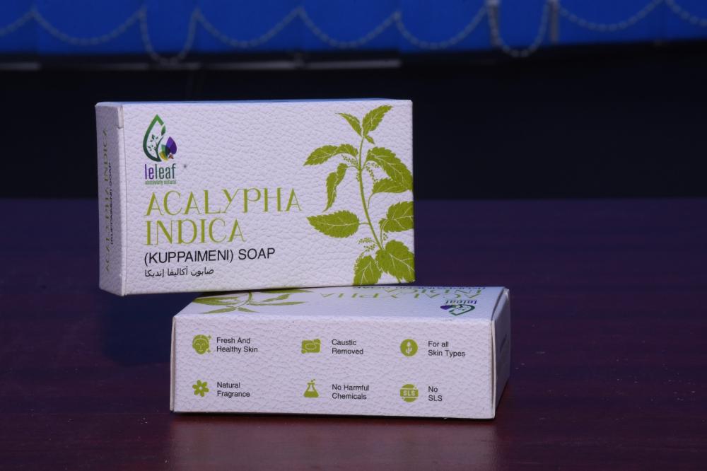 Acalypha Indica (Kuppaimeni Soap)